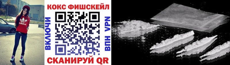 Cocaine FishScale  купить наркоту  Сорск 