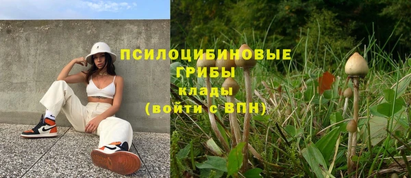 спайс Балахна
