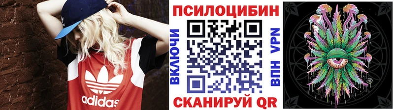 цена наркотик  ссылка на мегу рабочий сайт  Псилоцибиновые грибы Psilocybe  Сорск 